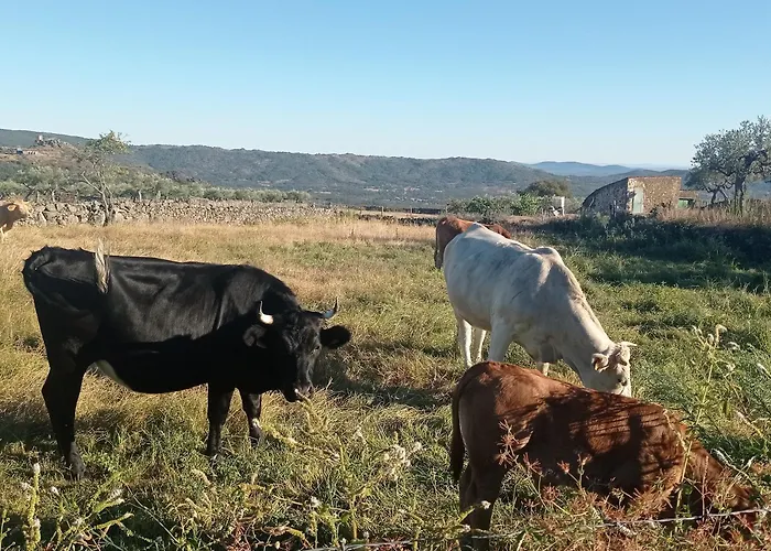 Casa Rural Vinas Perdidas