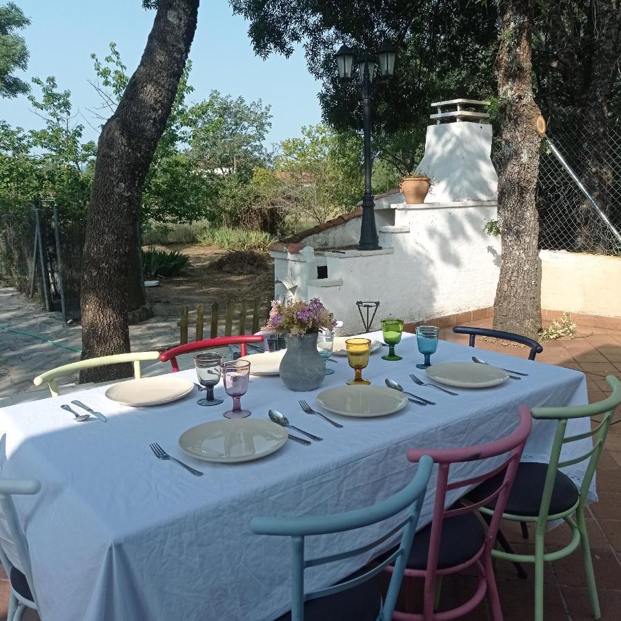 Vinas Perdidas Holiday home *